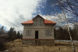 Продам дом и 16 с. птичьего пения