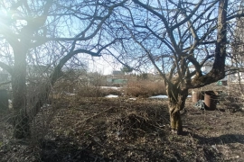 Участок в Пушкино, 4 сотки